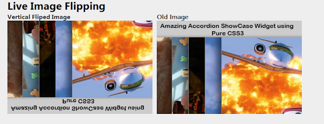 Image Flipping Using ASP.NET(WebImage helper)
