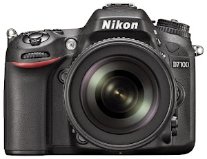 Nikon D7100 , click image