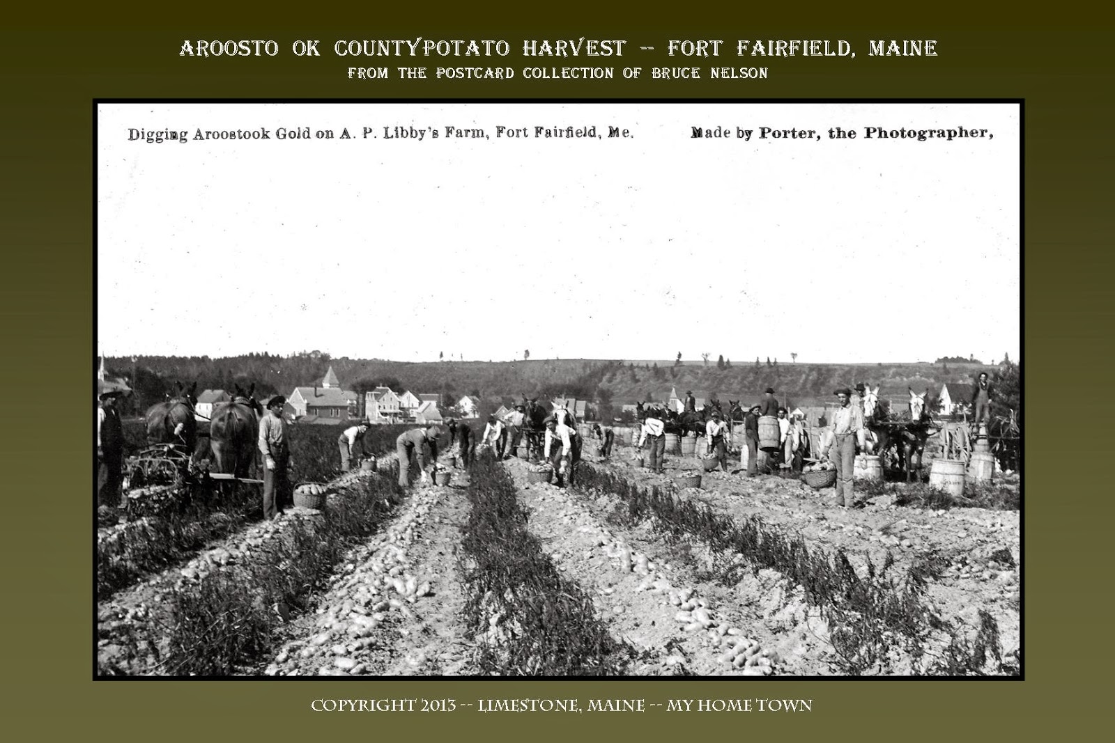 Limestone, Maine My Home Town From Bruce Nelson's Postcard