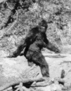 bigfoot+sasquatch.jpg