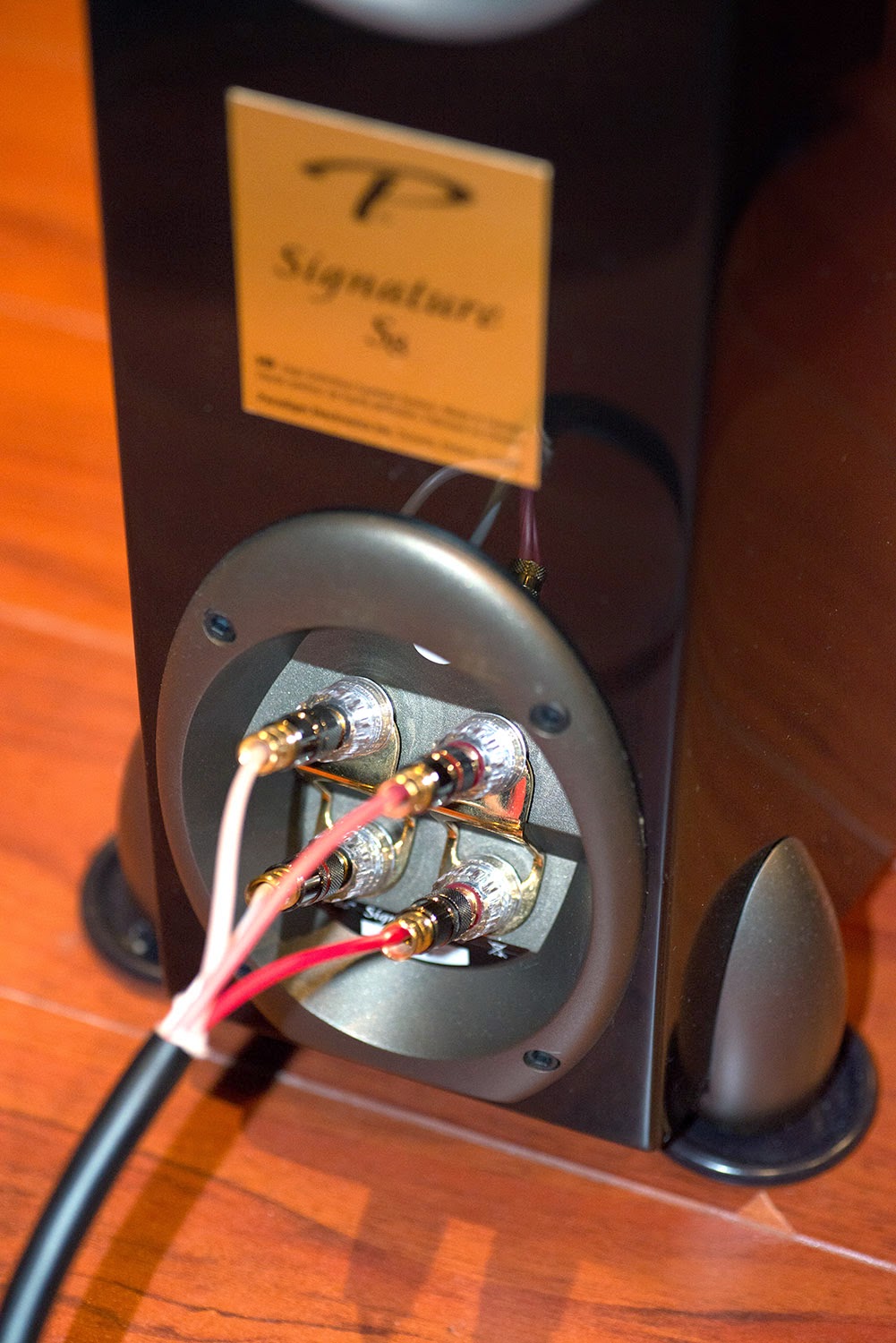Hasil carian imej untuk klipsch biwire speaker terminal
