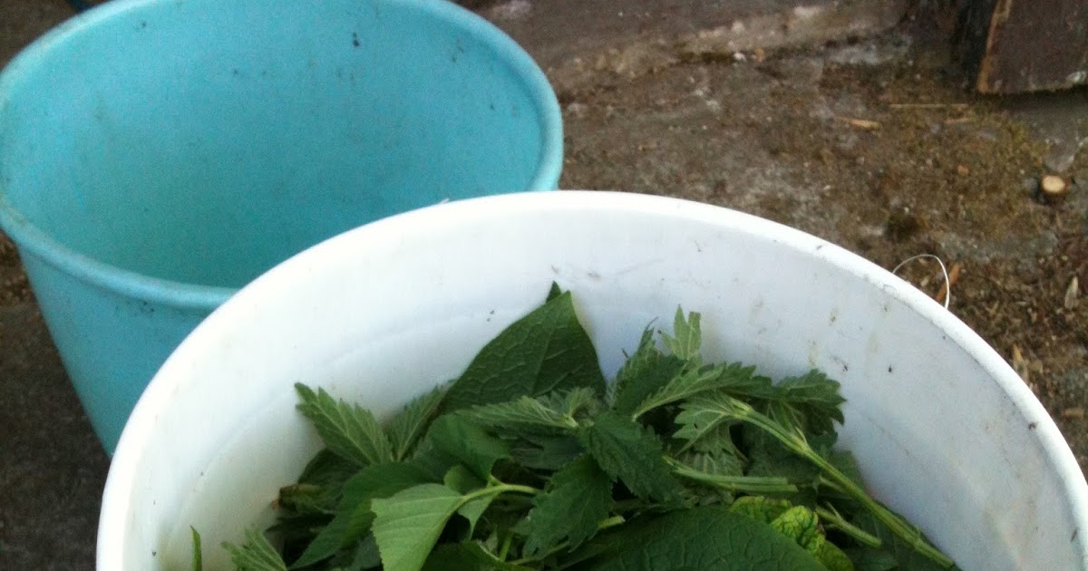 Chop Wood Carry Water Plant Seeds Making organic liquid fertilizer