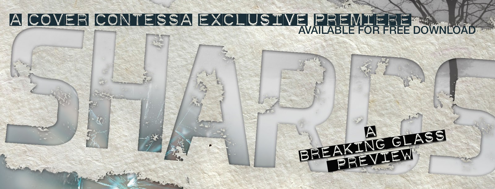 The Cover Contessa Blog Tour and Giveaway Breaking Glass by Lisa