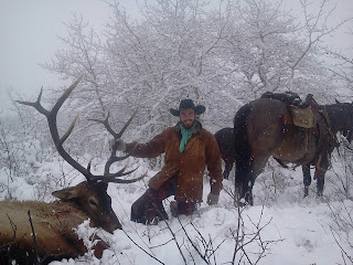 6 Point Bull Elk