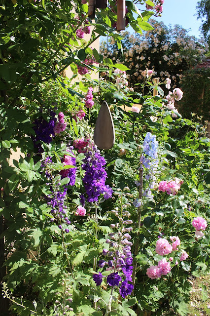 Le Jardin D Oscar Mes Weigelas