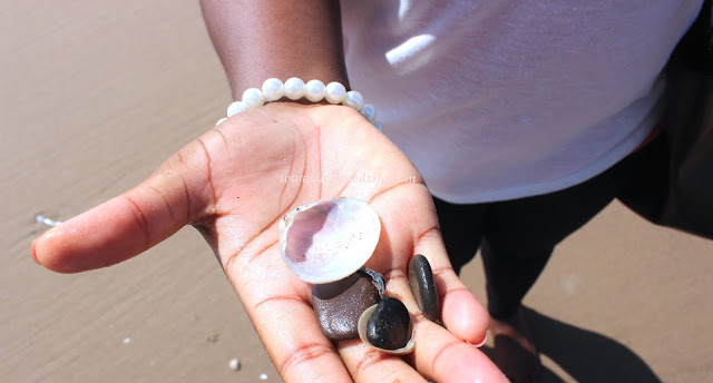 Blackpool Shells And Pebbles