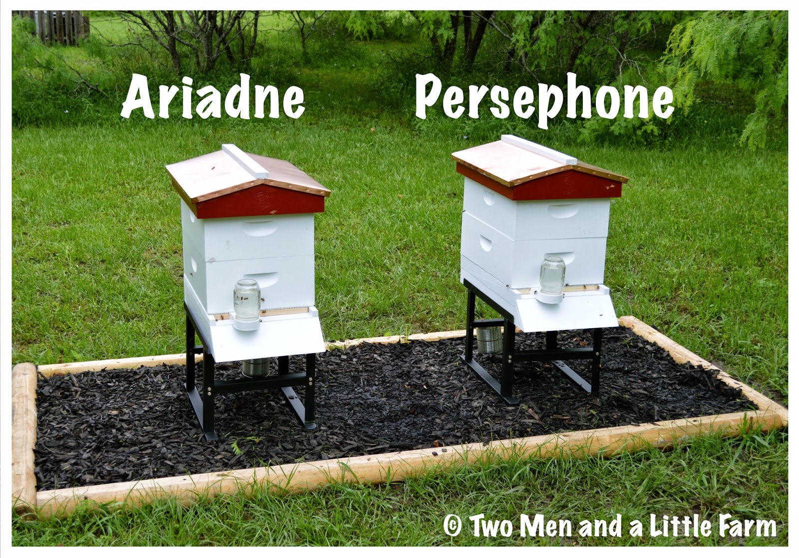 Two Men and a Little Farm NAMING OF THE HIVES