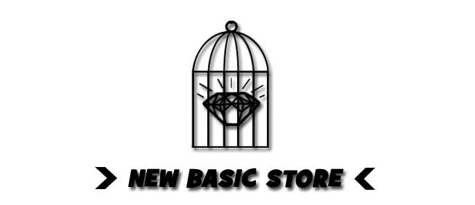 New Basic Store