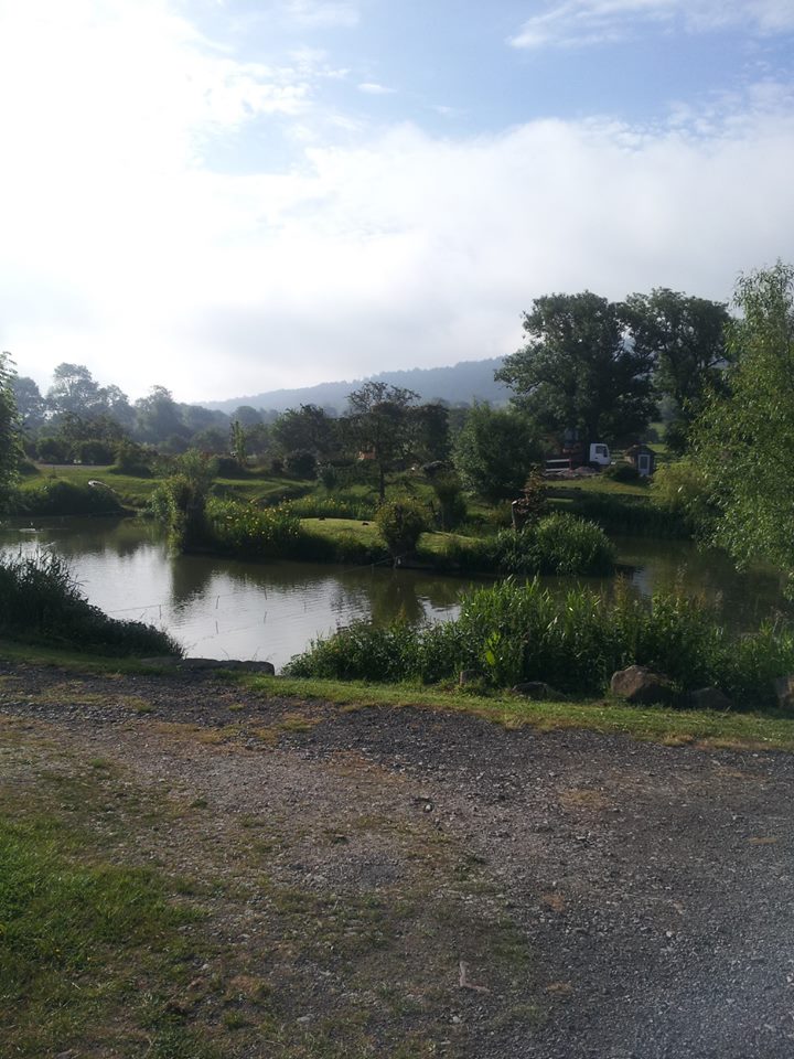 UK fishing venues Toms Pond (First Pond) Venue Review