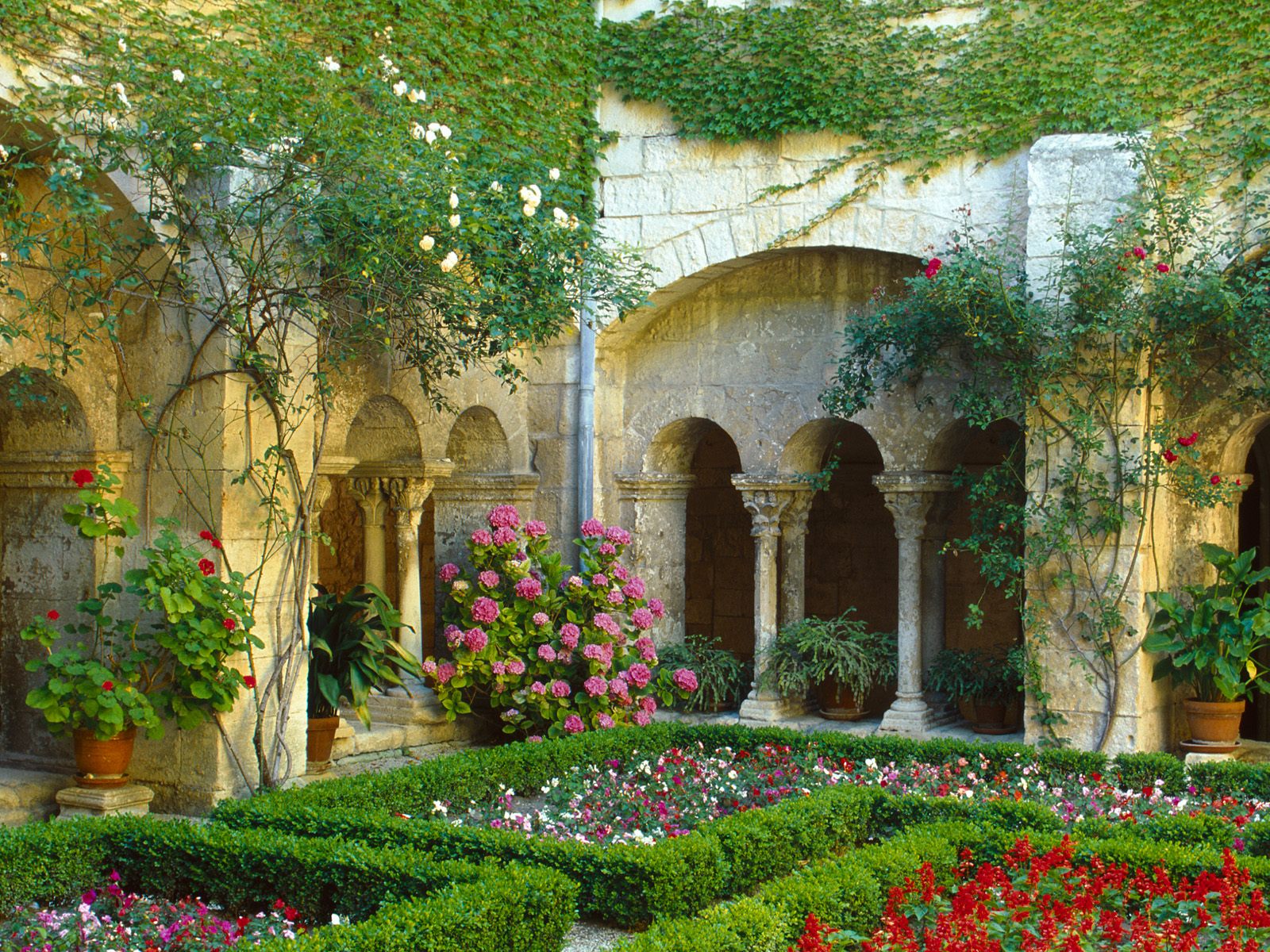 Rose garden wallpaper, rose wallpaper | osabelhudosec