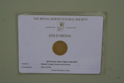 ‘Grace’ wins Gold!