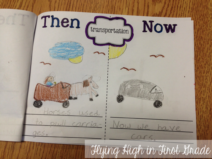 Means of transport essay picture