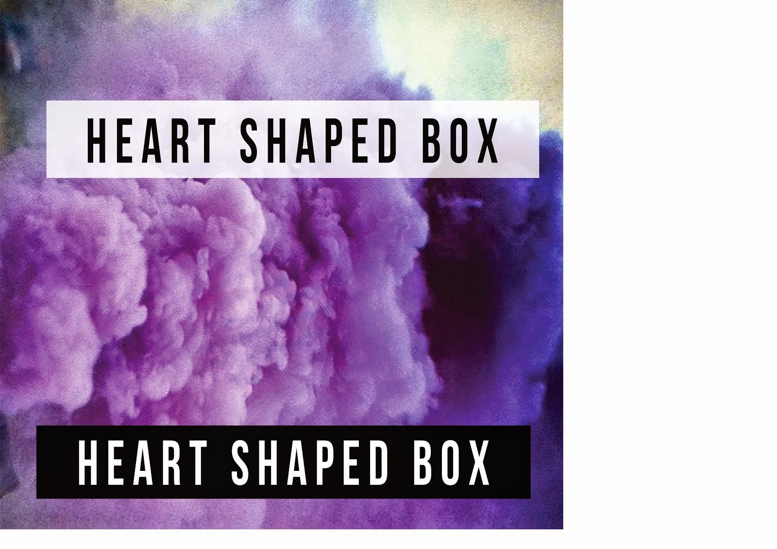  Heart Shaped Box 