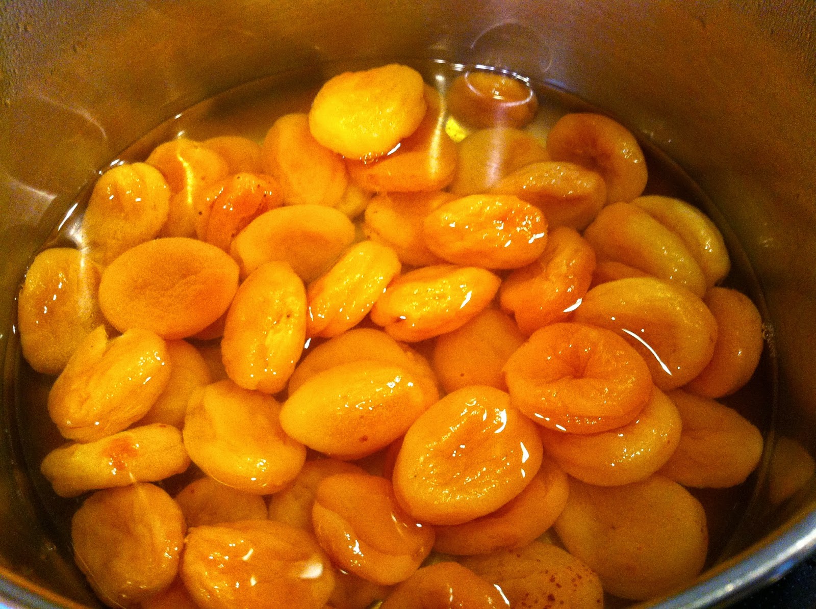 Homemade Apricot Leather