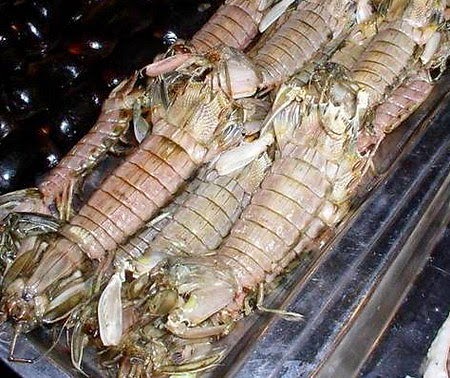 Crayfish Cà Mau (TômTít Cà Mau)3
