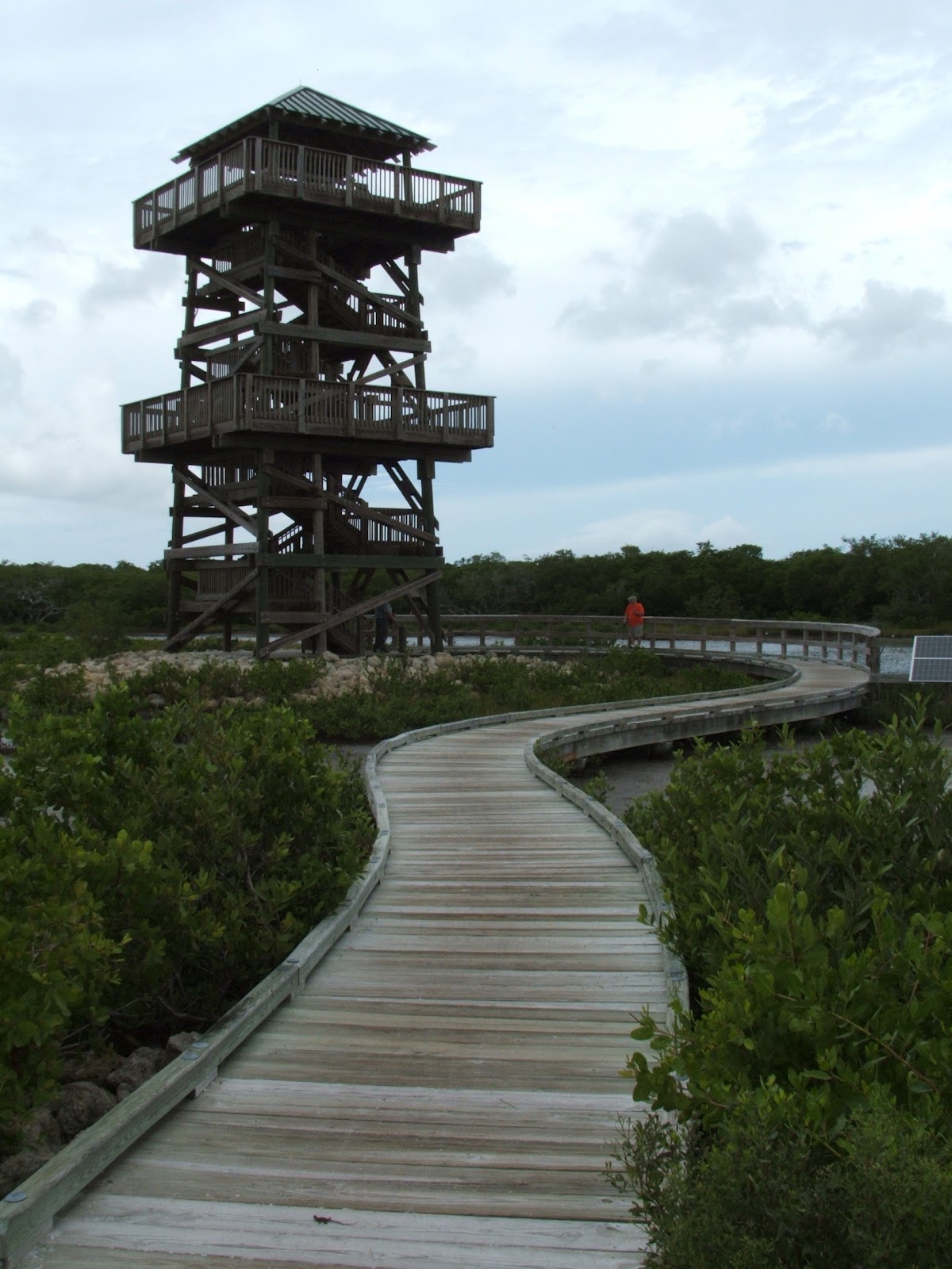 Report From The Florida Zone Perico Island
