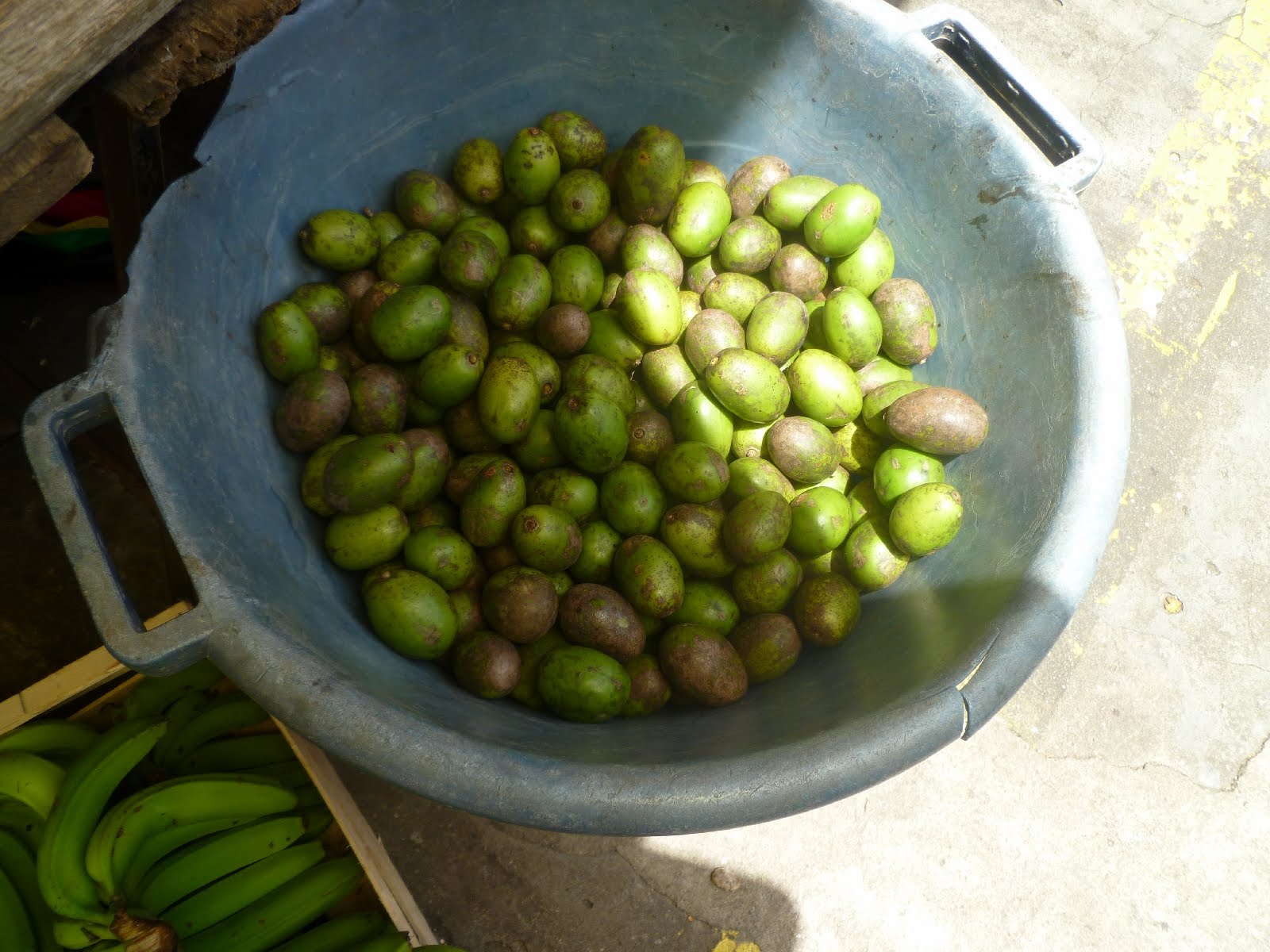 Life in French Guiana and beyond More food