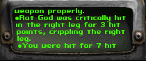 FALLOUT2%2B2011-05-19%2B22-56-35-47.png