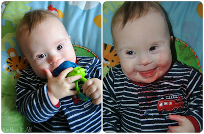 Munchkin Fresh Food Feeder Munchkin Fresh Food Feeder