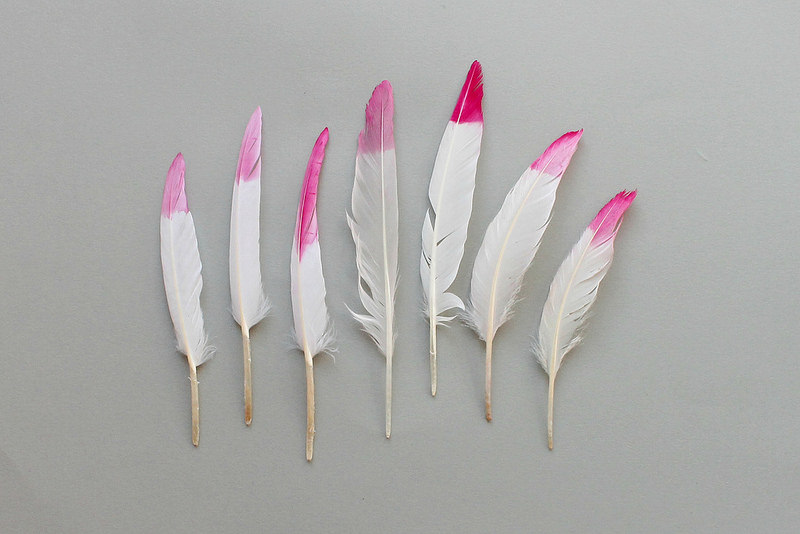 DIY dip dyed feather wall hanging 