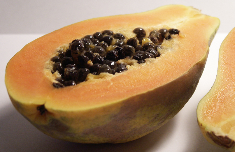 The Earth of India All About Papaya in India