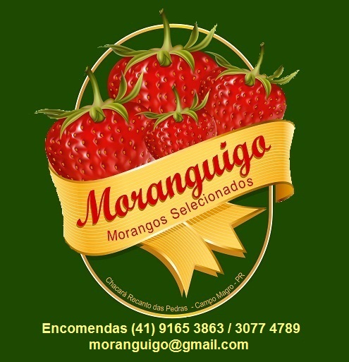 MORANGUIGO - Morangos selecionados sem agrotóxicos