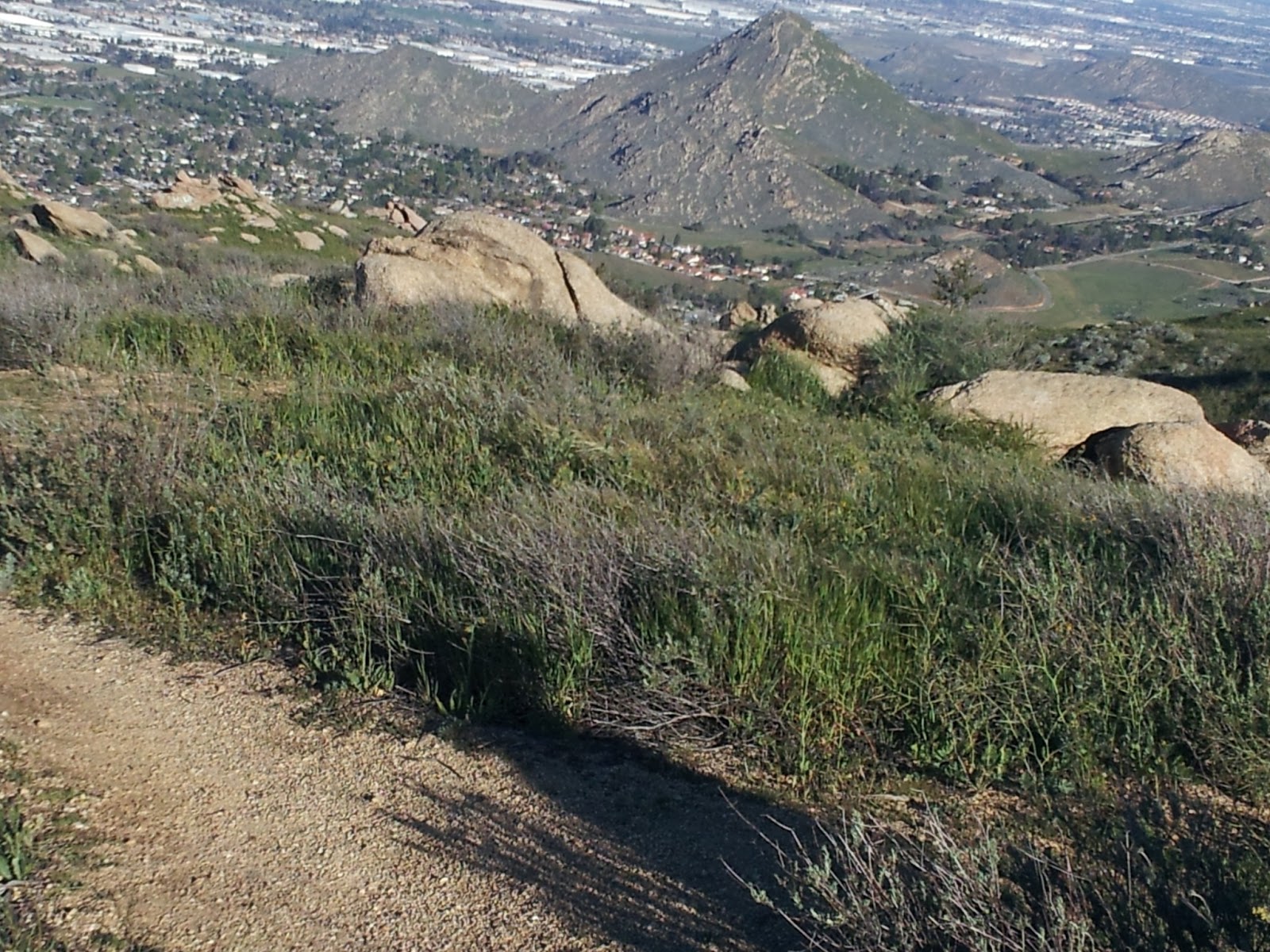Hiking with Fido Hikes with Dogs on Southern California Hiking Trails
