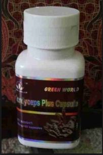 Cordyceps Plus Capsule