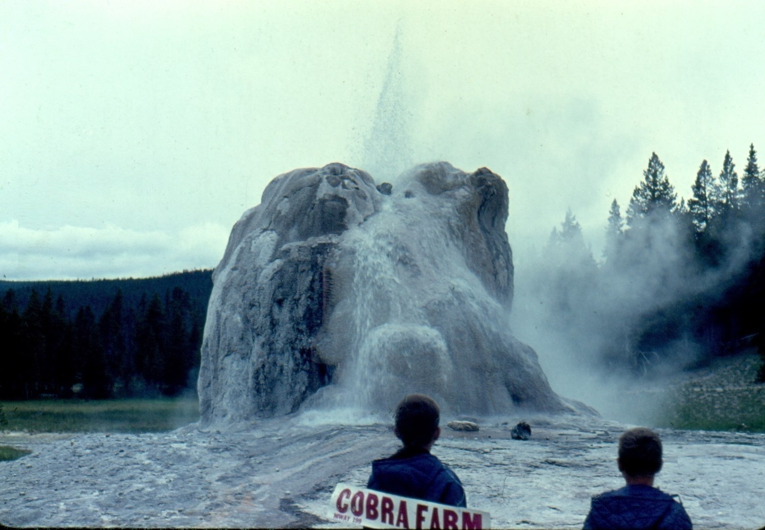 Hotel Paradiese 2011