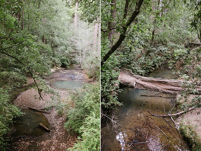 Big Basin Redwoods State Park