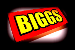 Biggs Cover Band