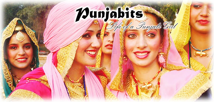 PunjaBits