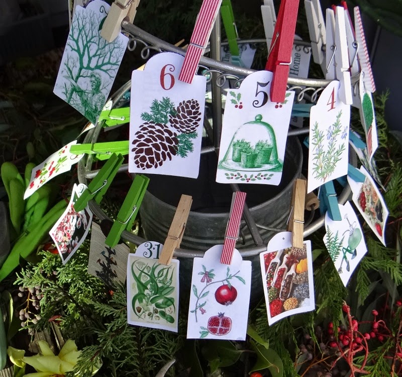 ...a quiet life... a garden advent calendar