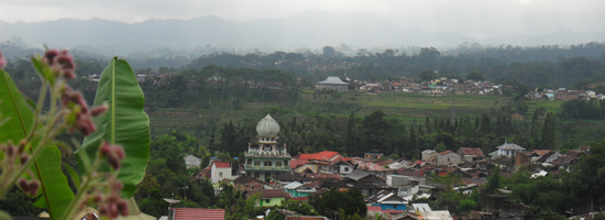 Pemandangan disekitar Homestay