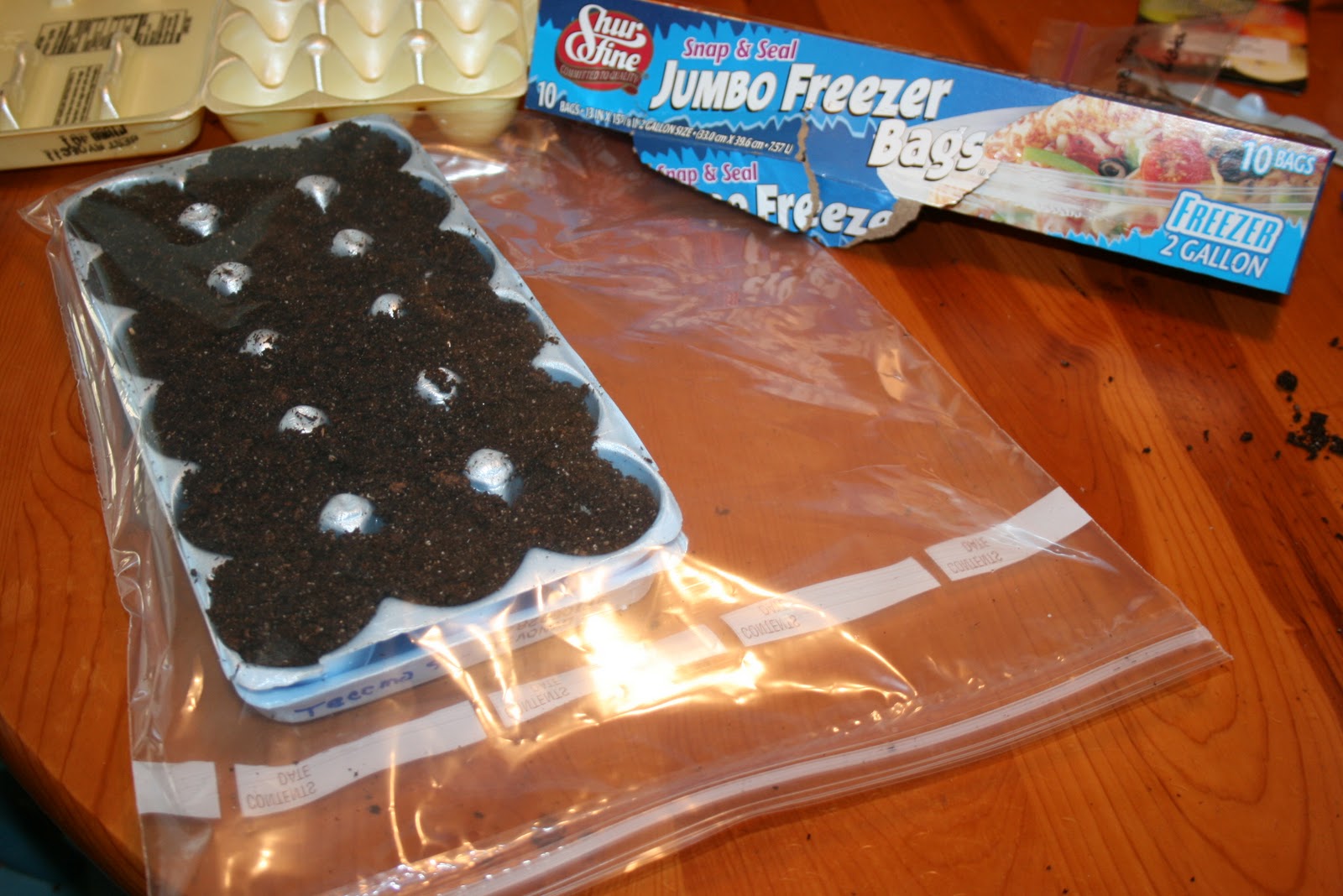 Challenged Survival Egg Carton Seed Starters