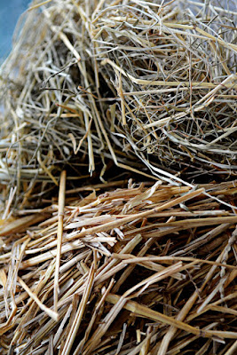 Every wondered what the difference is between hay and straw?  Check out this post to find out the answer to a common question.