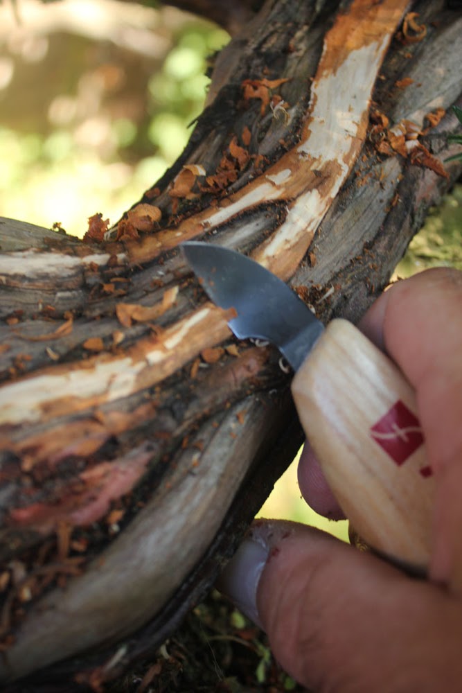 wildwoodbonsai New carving tools