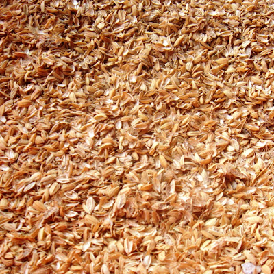 粗糠（稻穀最外層的殼）
