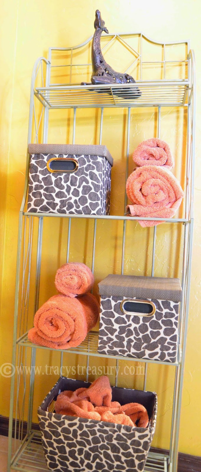 Tracy's Treasury Pretty Storage Solutions