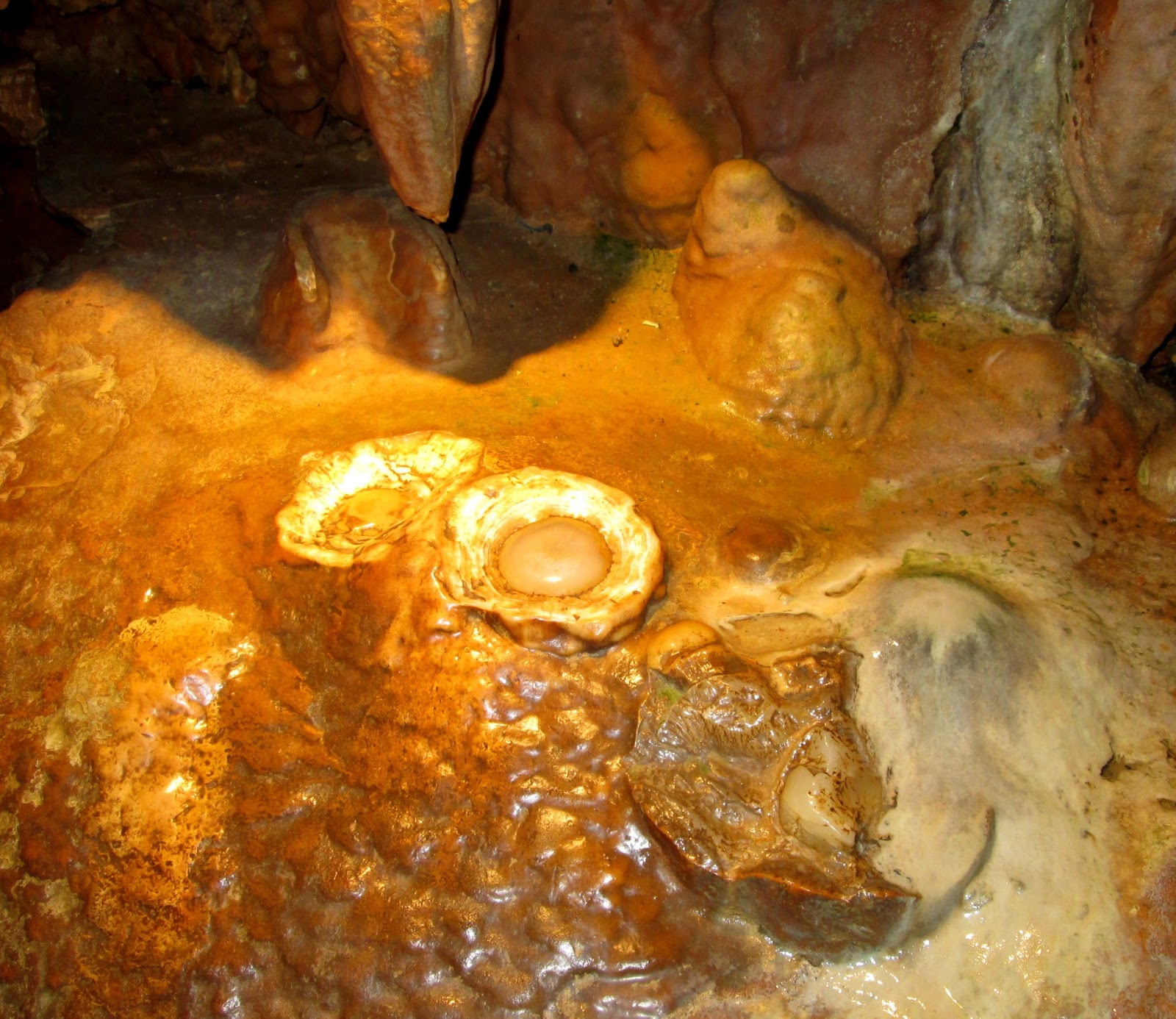Virginia's Life, Such As It Is! Luray Caverns (Traveling North)