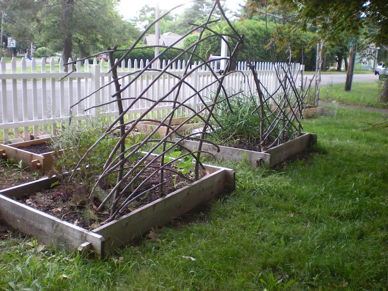 Myrrhmade Twig Trellises and a Chick Field Trip