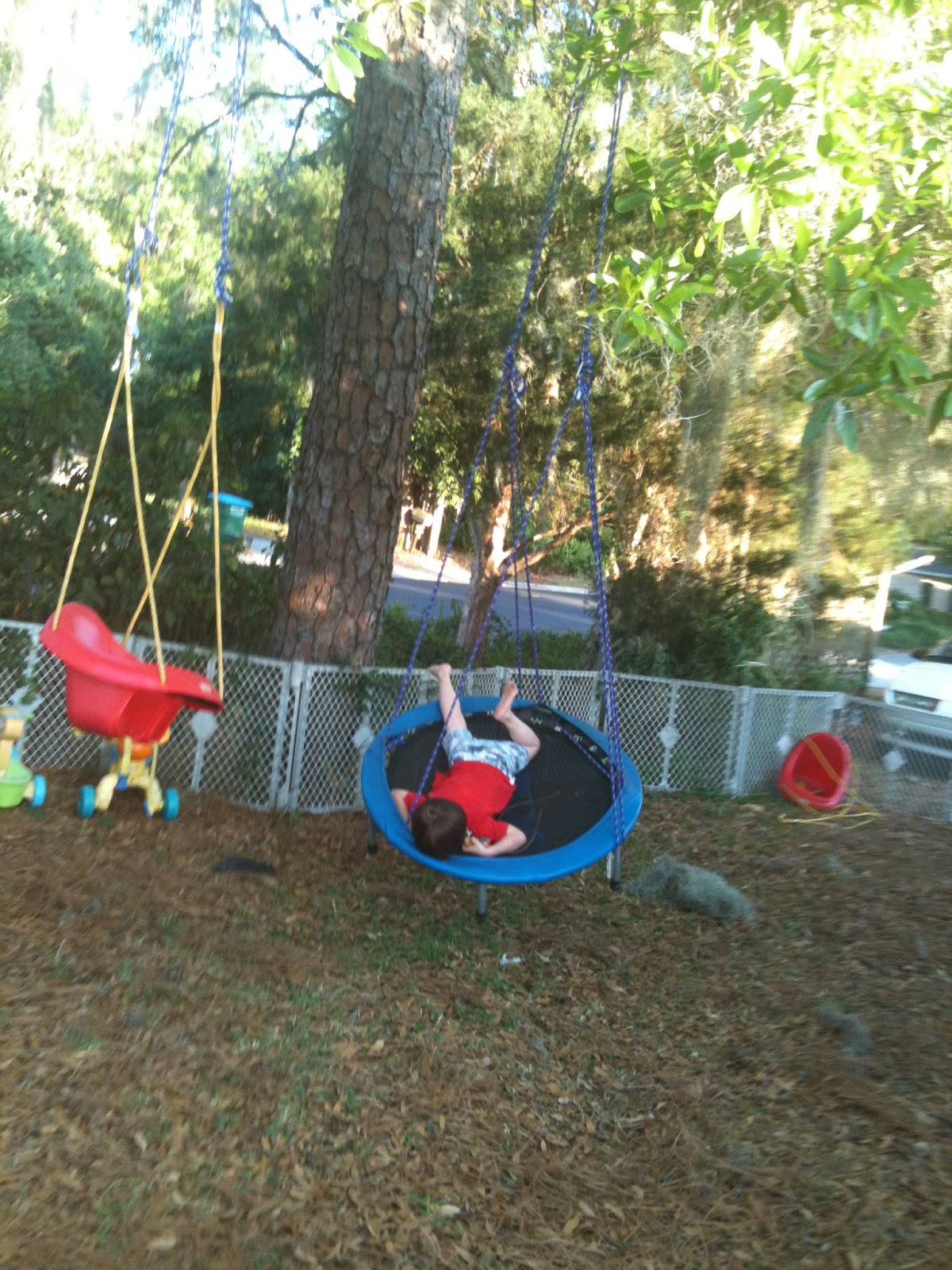 Tramposwing, Tarzan swing & backyard play environment Homeschool and