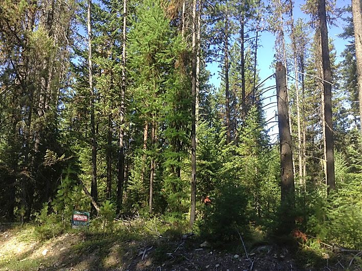 Northwest National Real Estate