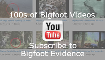 Best Bigfoot Evidence 2011