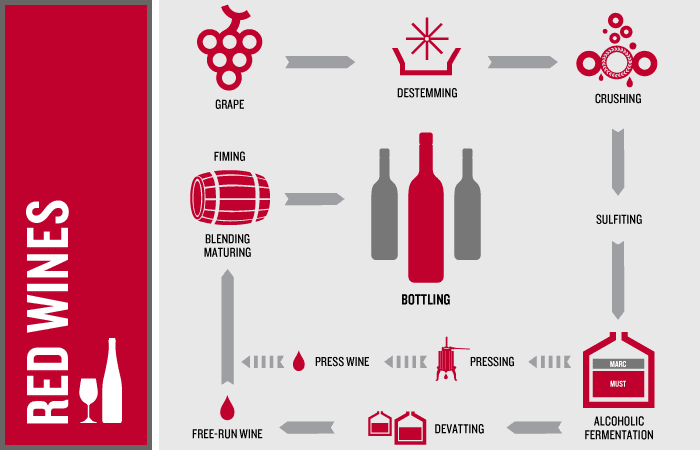 Wine Making Process Chart