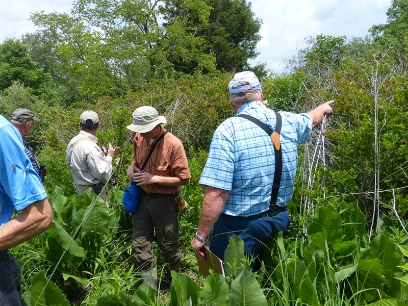 Ben And Joy Cabin Creek Bog Visit
