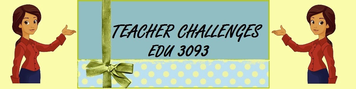 Teachers Challenges EDU 3093