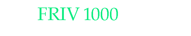 Friv 100 Games