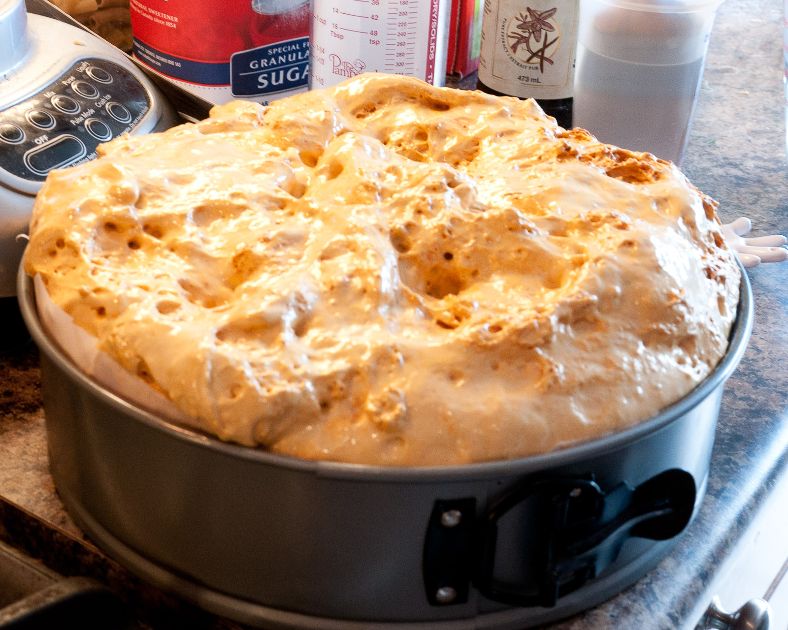 Sweet Twist of Blogging Chocolate Dipped Sponge Toffee Daring Bakers Candy Part 1