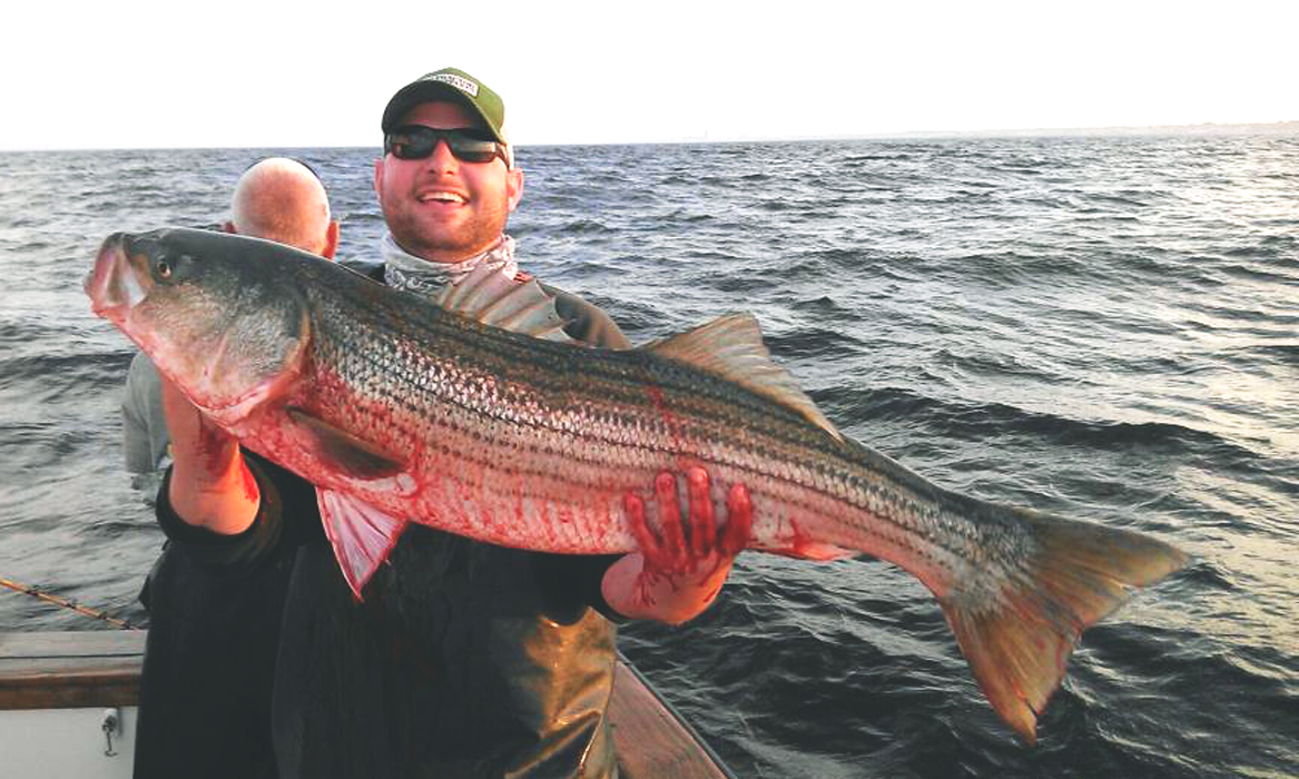 Margie O'Hara A Creative Life Striper Grilled with Chimichurri Sauce